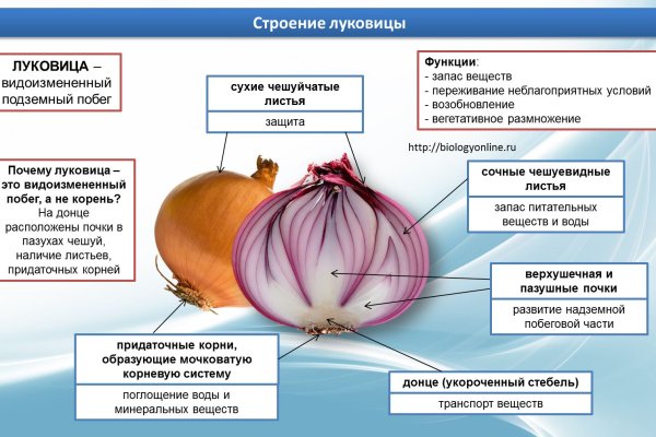 Сайт krn