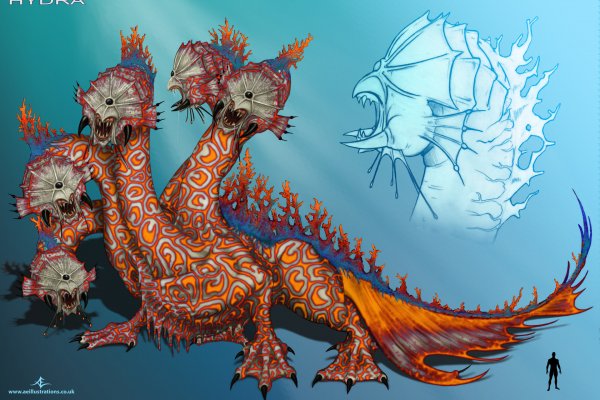 Kraken 14 at сайт