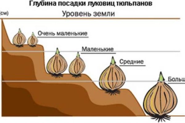 Кракен что это за маркетплейс