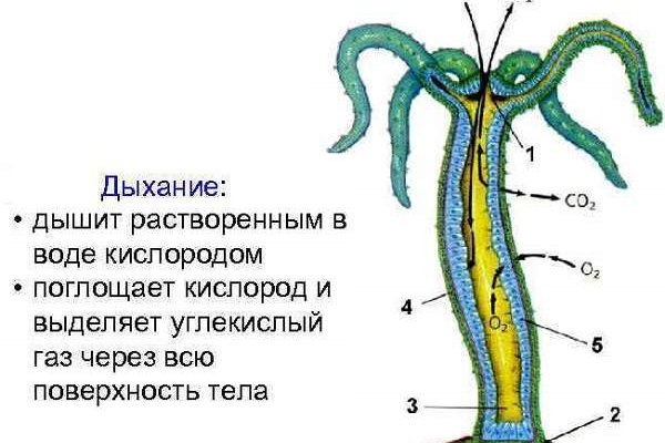 Кракен сайт 1kraken me