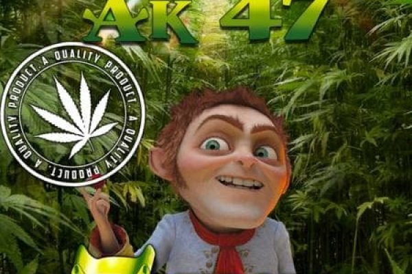 Mega darknet ссылка