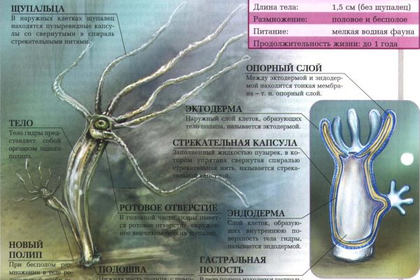 Сайты по продаже наркотиков