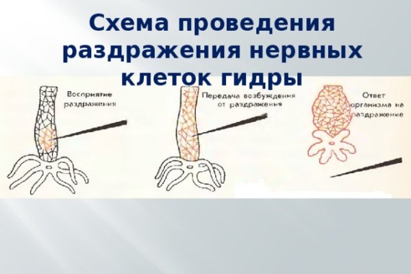 Кракен сайт магазин kraken clear com