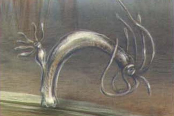 Kraken зеркала маркетплейс