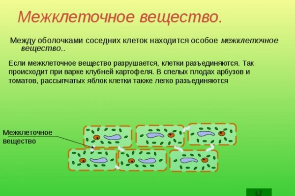 Официальный сайт kraken kraken clear com
