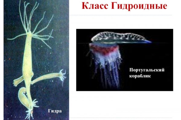 Kra50.cc Вход на сайт главная страница